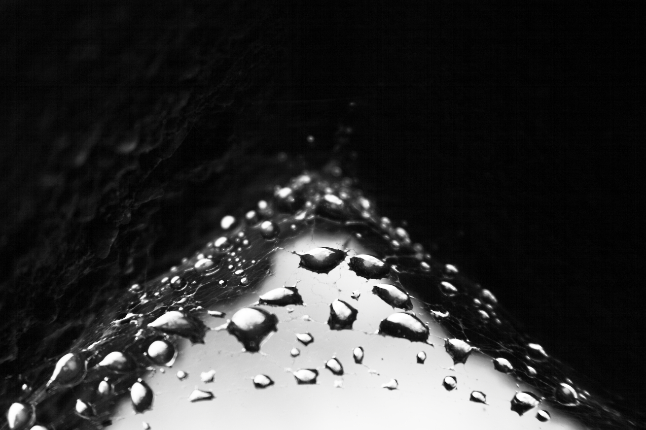 2011 05 22 IMG 32081